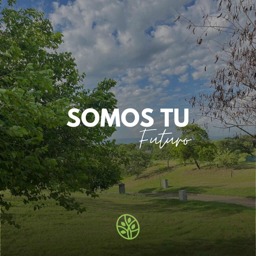 Increíble terreno