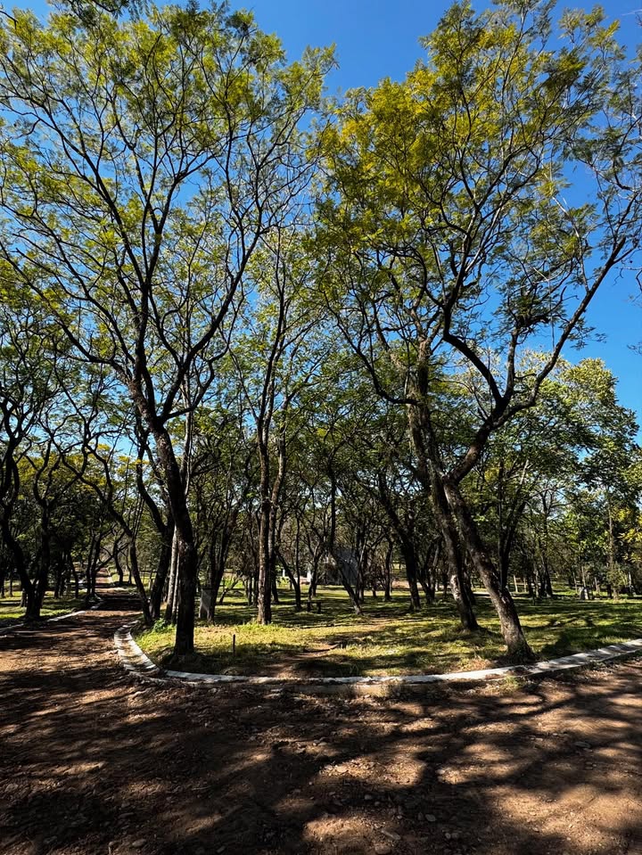 Espectacular terreno Estancia Los Nogales